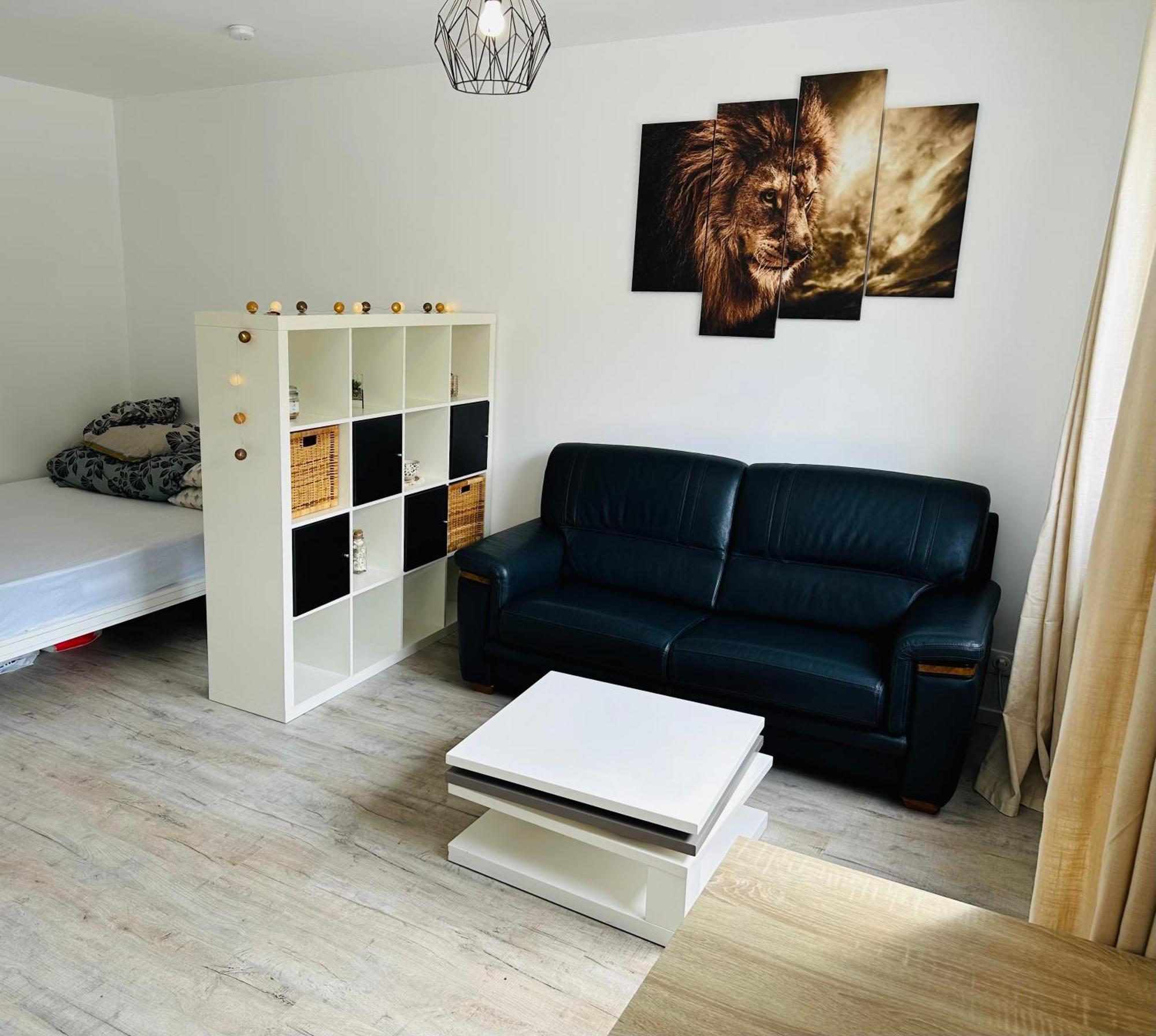 Tres Agreable Studio A Villeurbanne Exterior photo